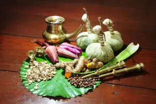 Ayurvedic Therapies & Spa Kovalam Kerala By Elite Itinerary