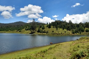 Berijam Lake Kodaikanal By Elite Itinerary