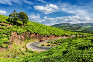 Cochin To Munnar Enroute Sightseeing By Elite Itinerary 2