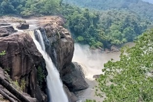 Cochin To Munnar Enroute Sightseeing By Elite Itinerary 3