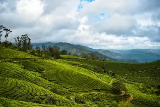 Munnar To Thekkady By Elite Itinerary