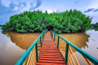 Sharavathi Kandla Mangrove Boardwalk By Elite Itinerary